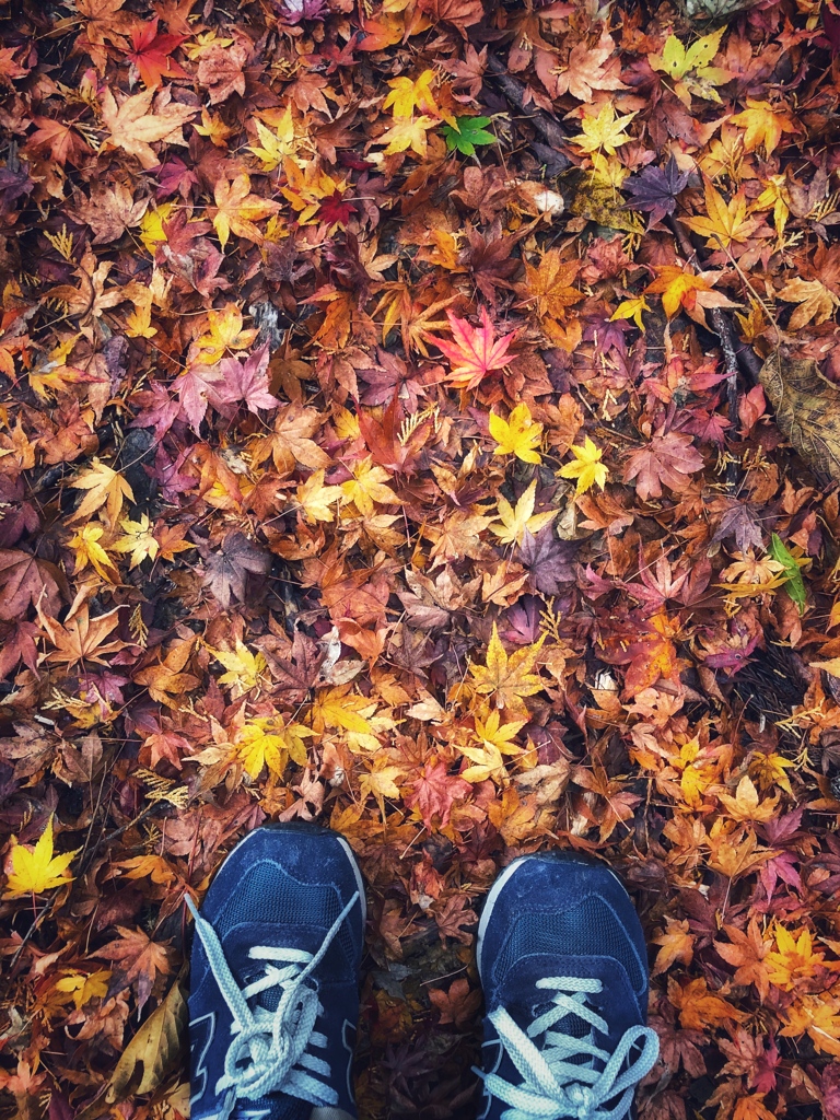 秋の足もと