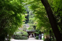 京都 宇治神社