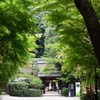 京都 宇治神社