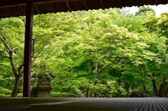 京都圓光寺