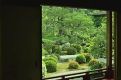 京都 特殊院