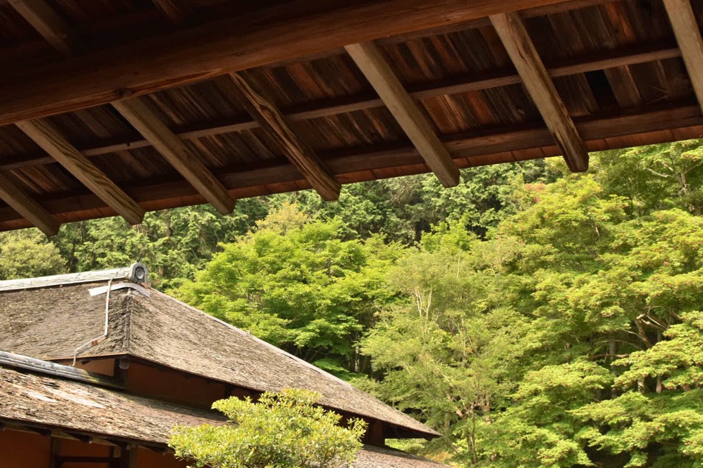 京都 特殊院