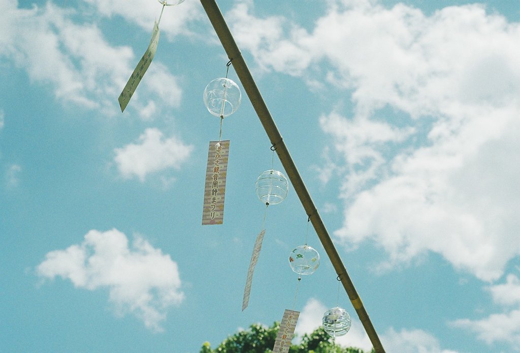 フィルム写真