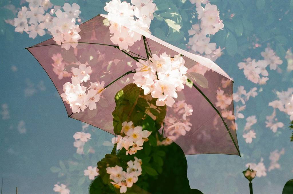 フィルム写真