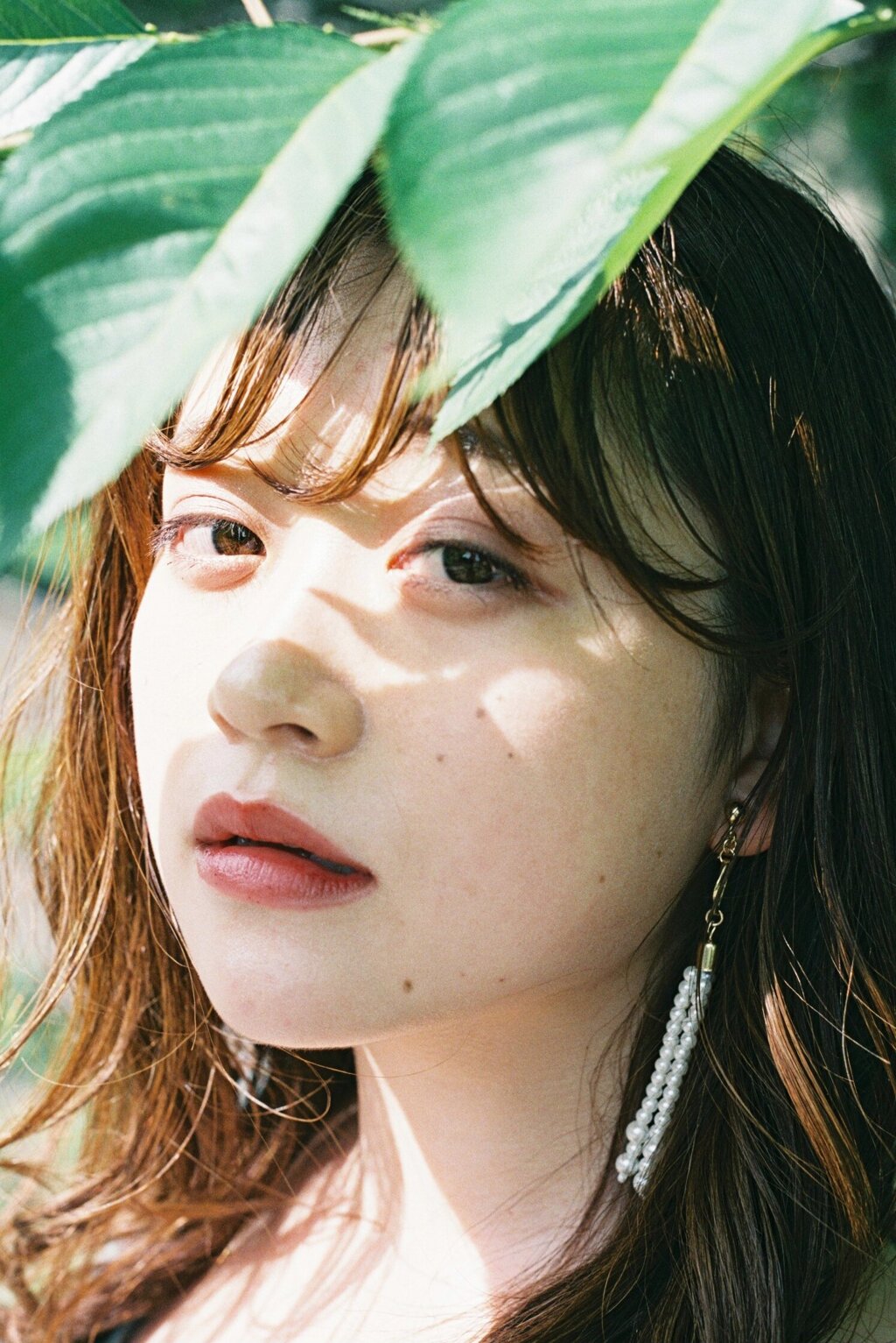 フィルム写真