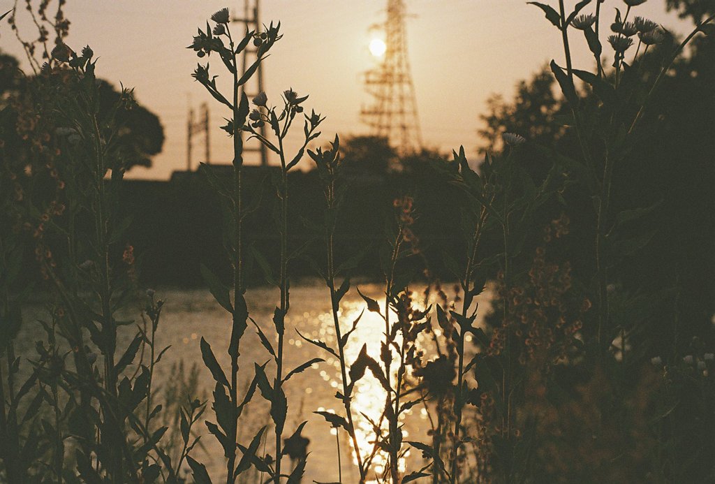 フィルム写真