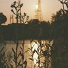 フィルム写真