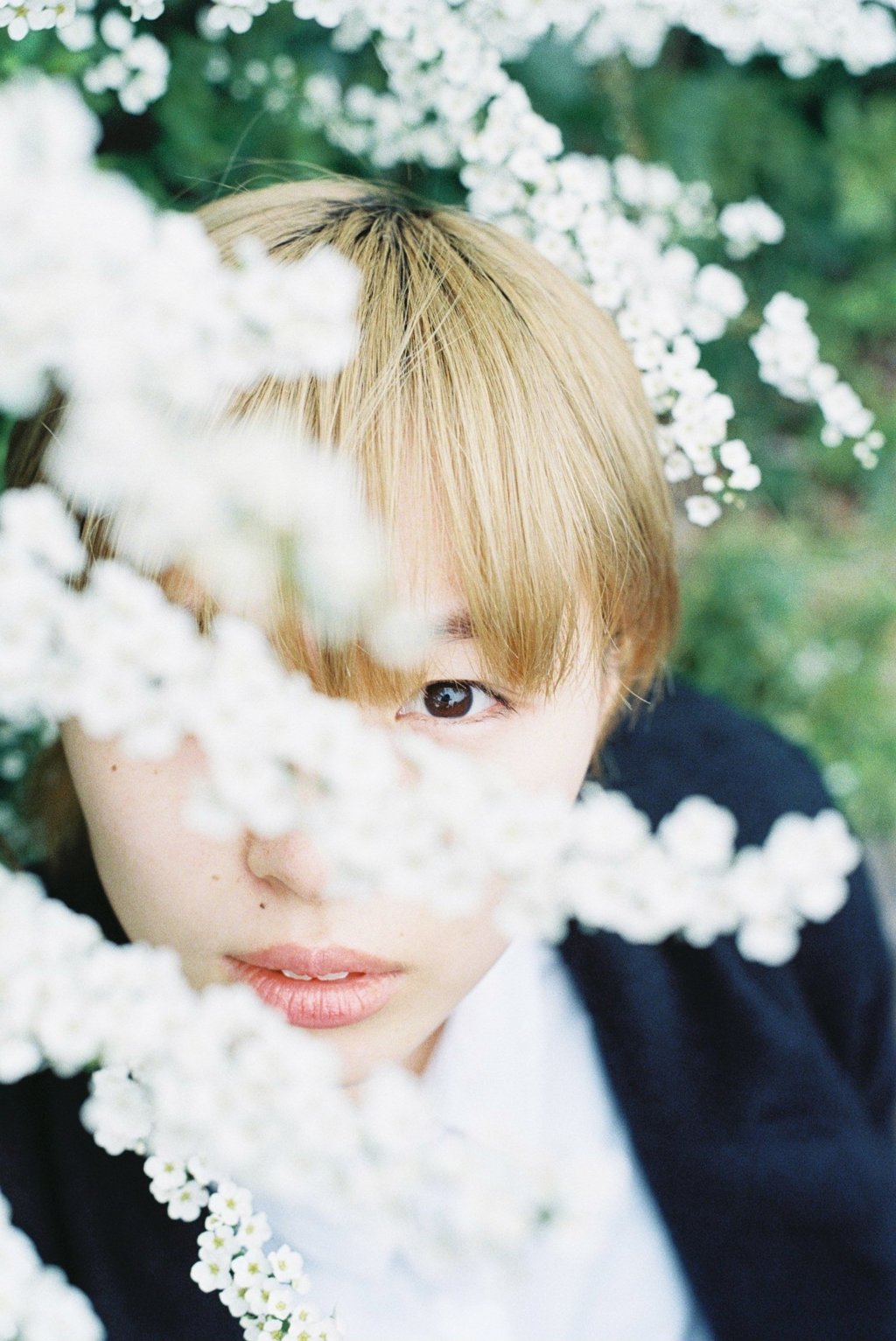 フィルム写真