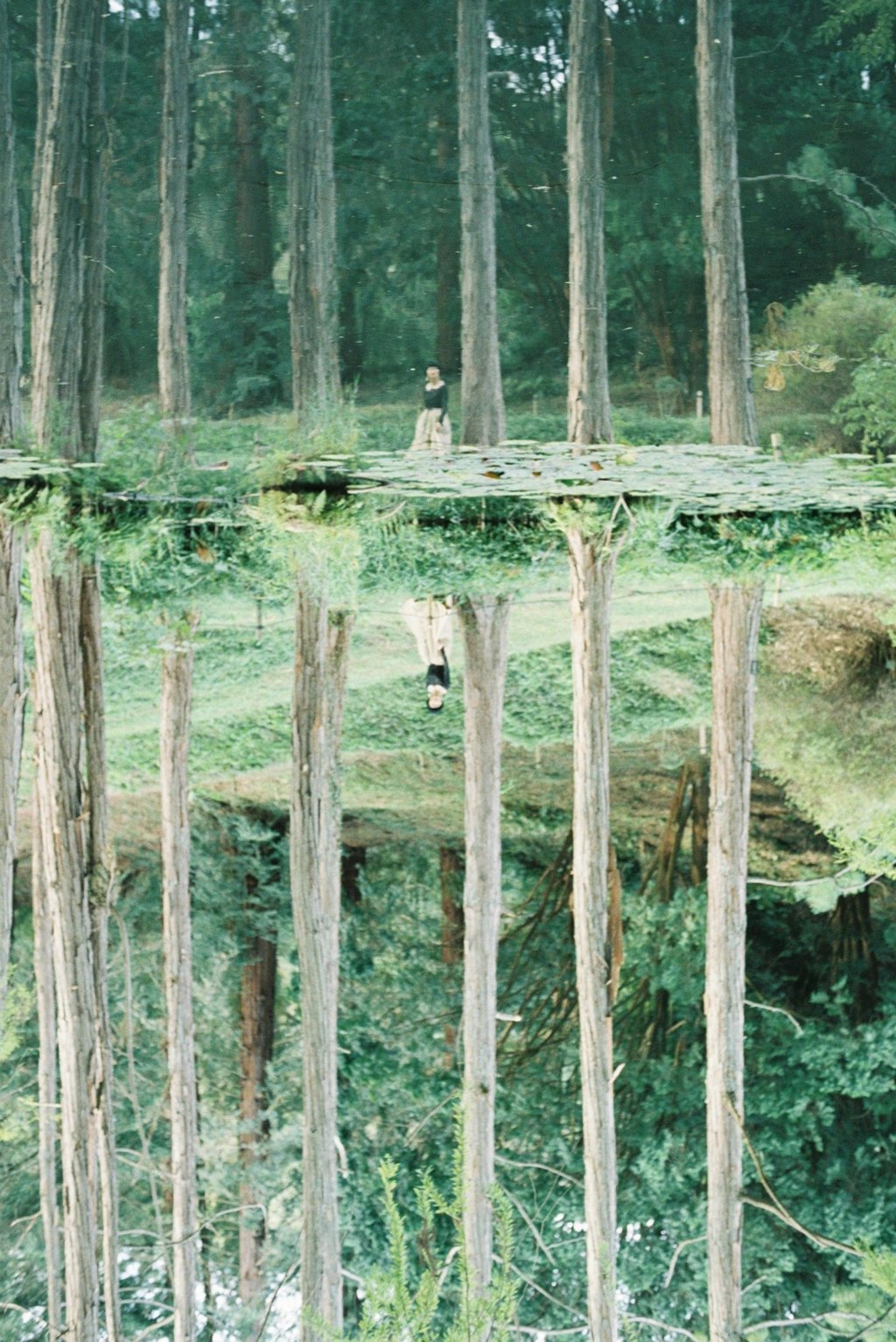 フィルム写真