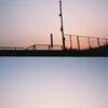 フィルム写真(ハーフカメラ)