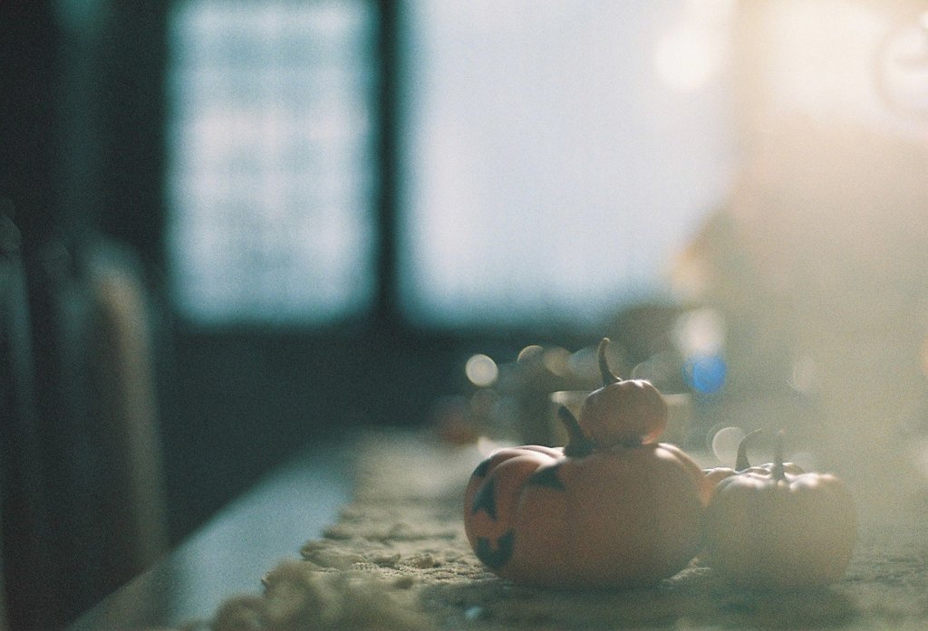 フィルム写真