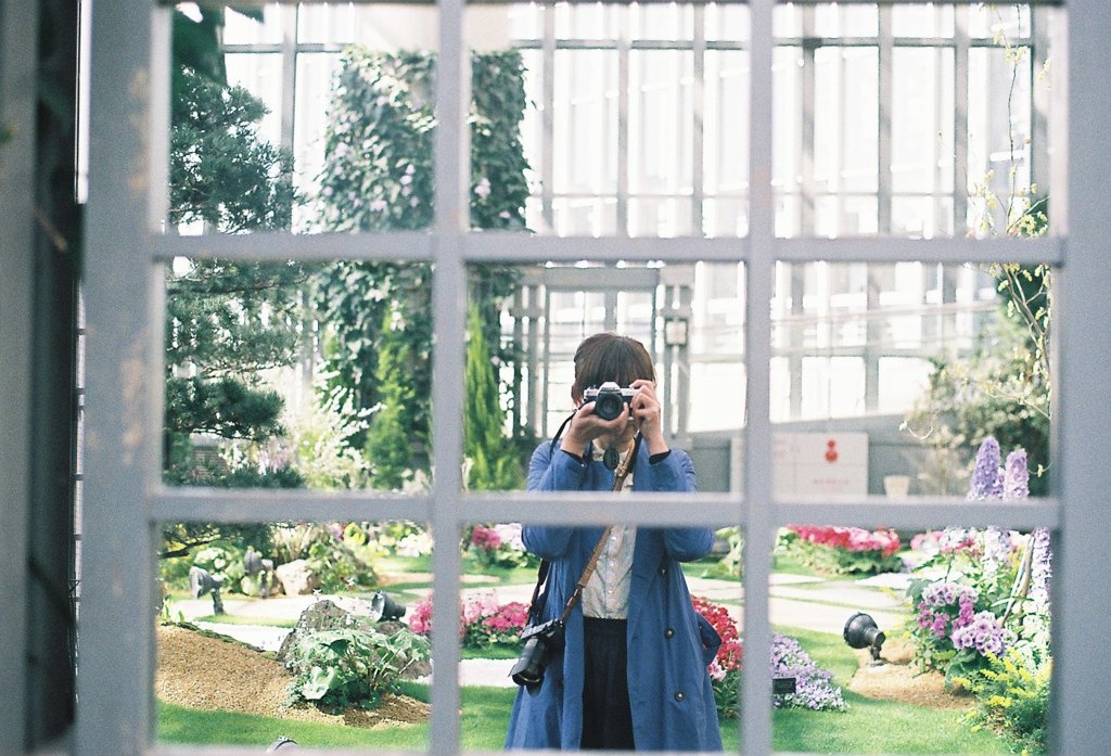 フィルム写真