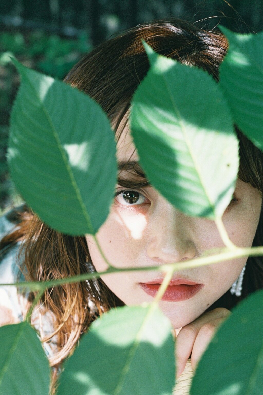 フィルム写真