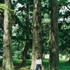 フィルム写真