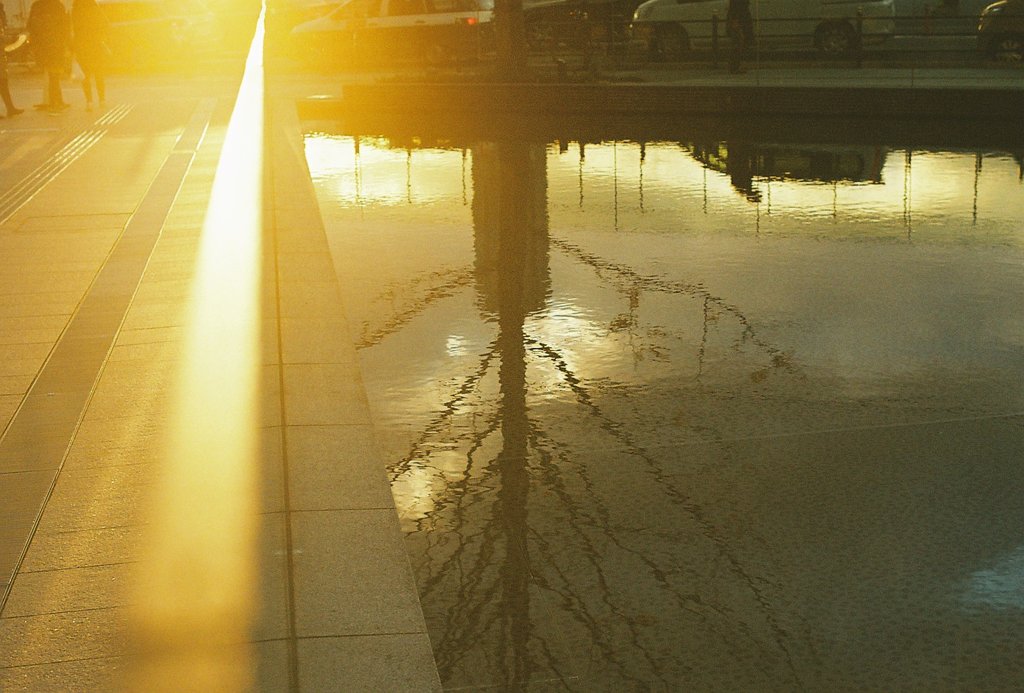 フィルム写真