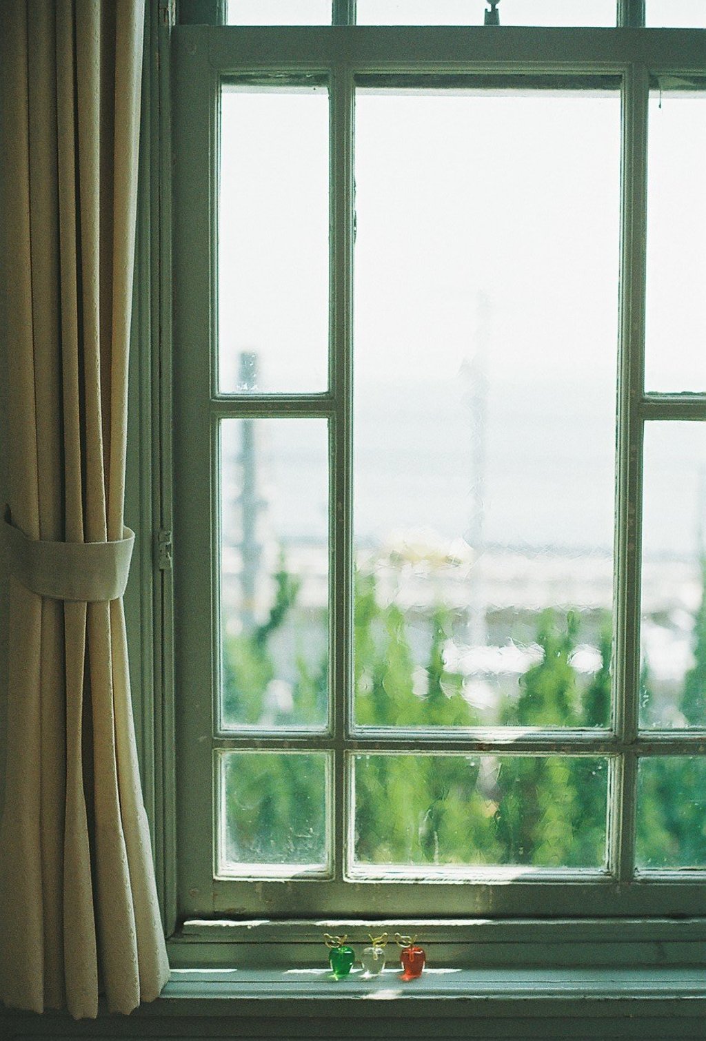 フィルム写真