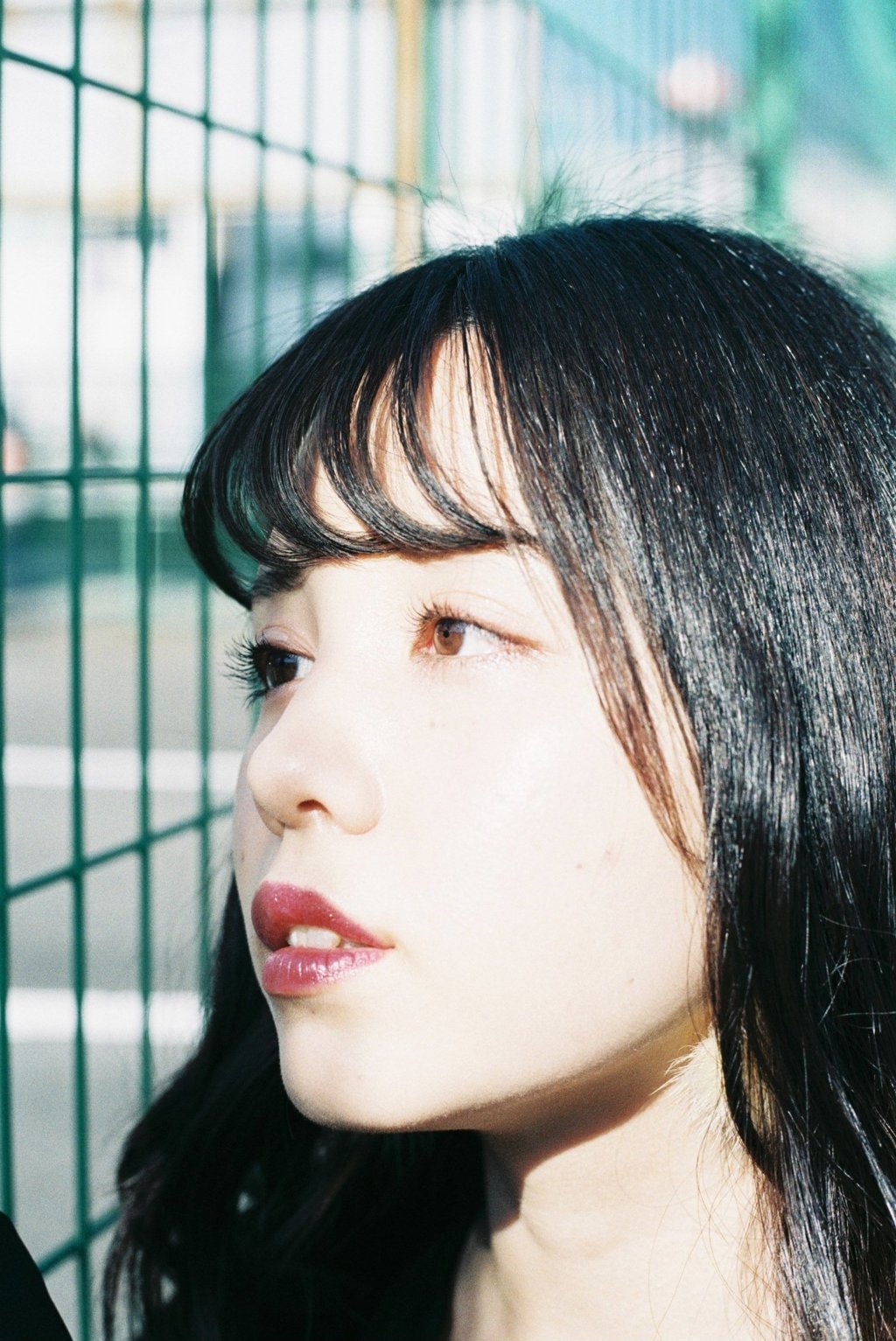 フィルム写真