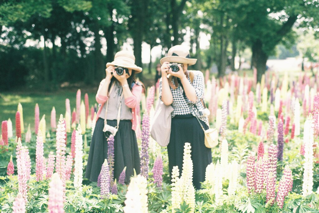フィルム写真