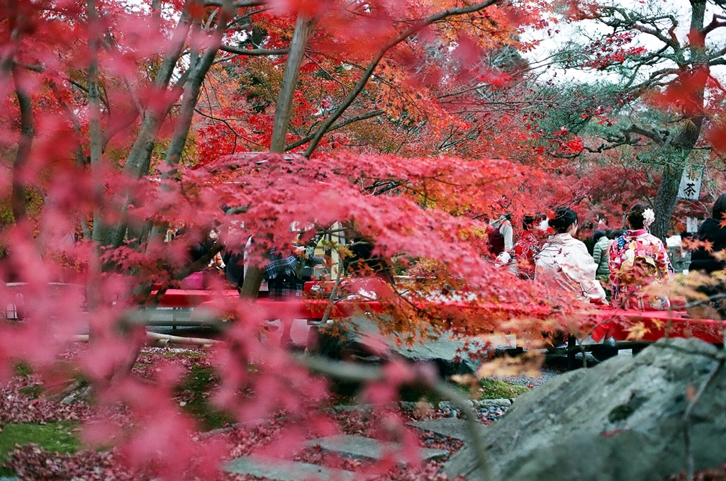 フィルム写真