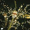 フィルム写真