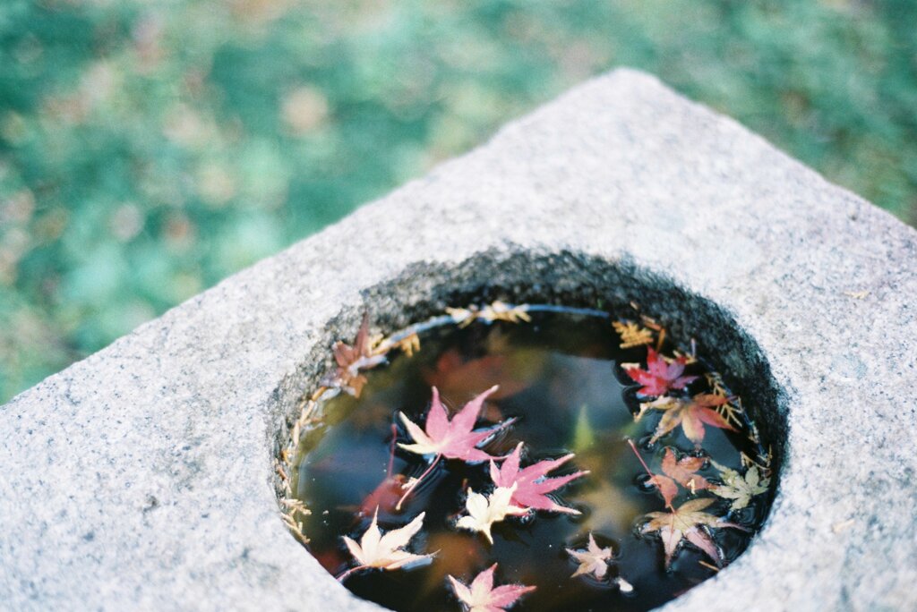 フィルム写真