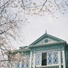 フィルム写真