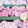 フィルム写真