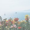 フィルム写真