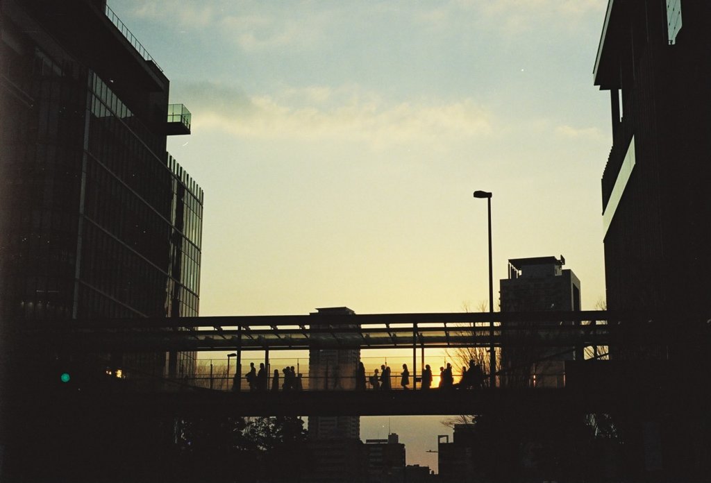 フィルム写真