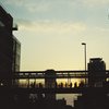 フィルム写真