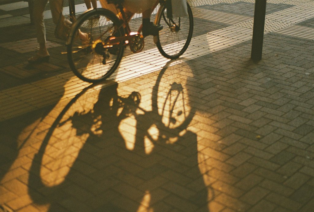 フィルム写真