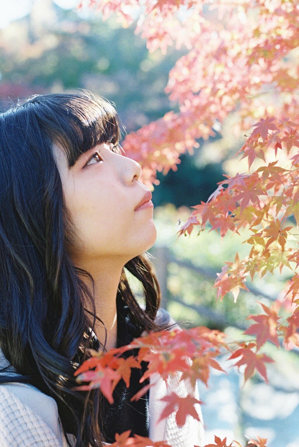 フィルム写真