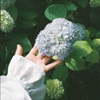 フィルム写真(ハーフカメラ)
