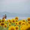 デジタル写真
