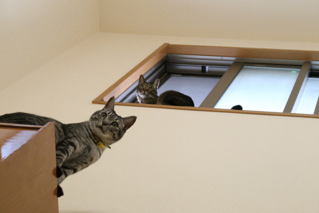 そこまで行きましたか