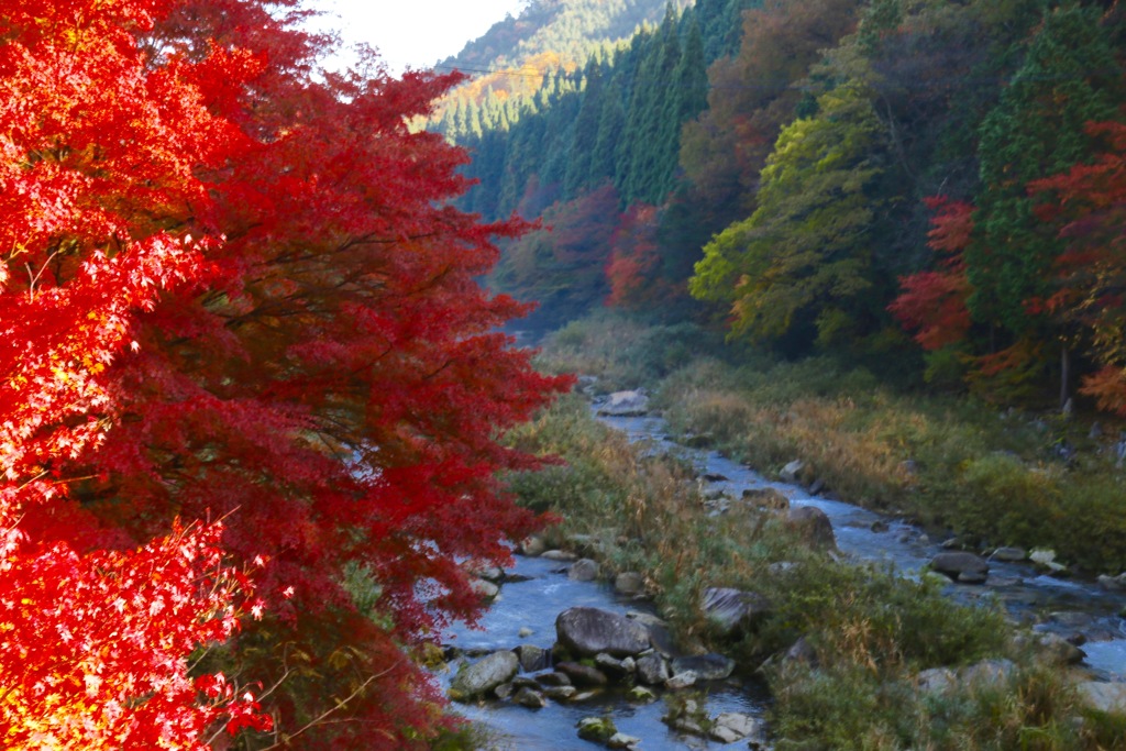 奥津渓紅葉