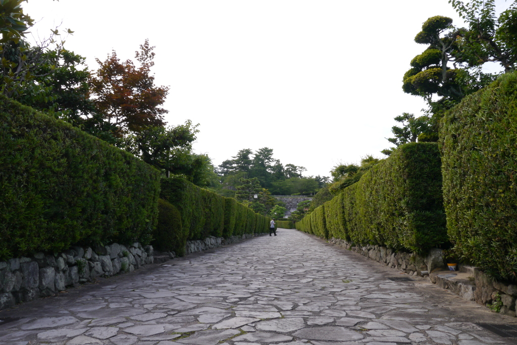 修学旅行の思い出⑥