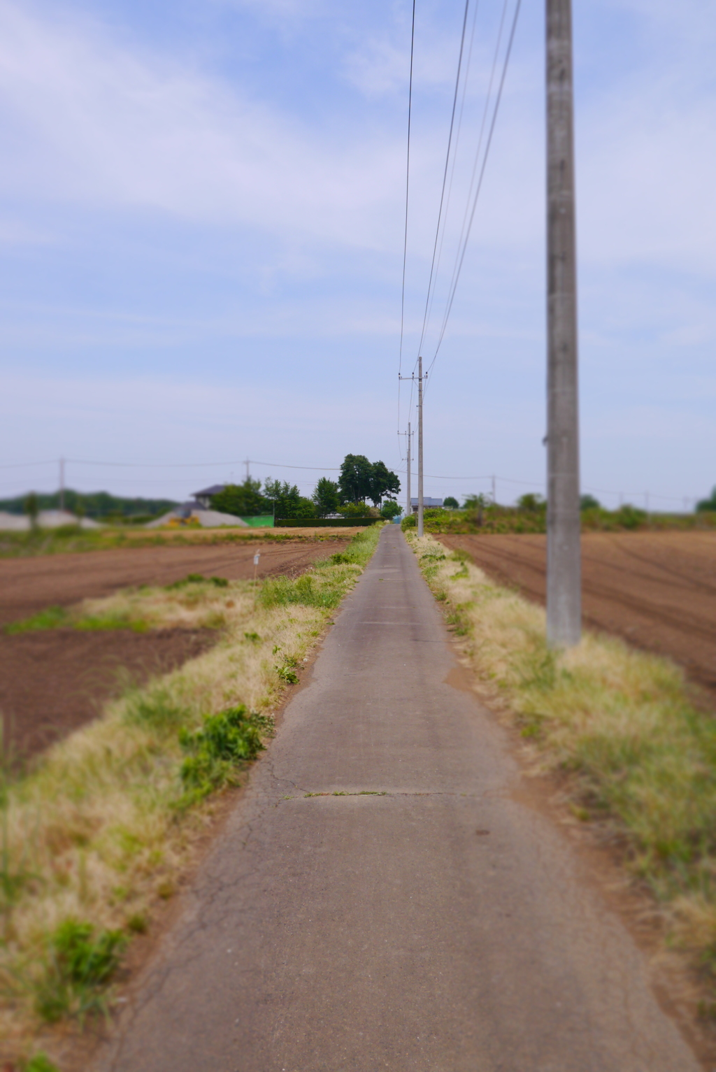はるかな道