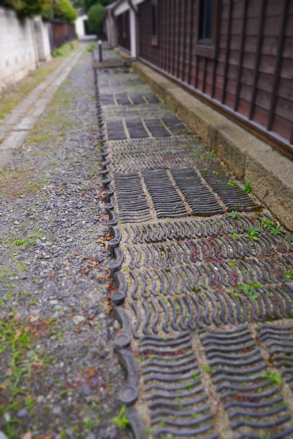 裏路地