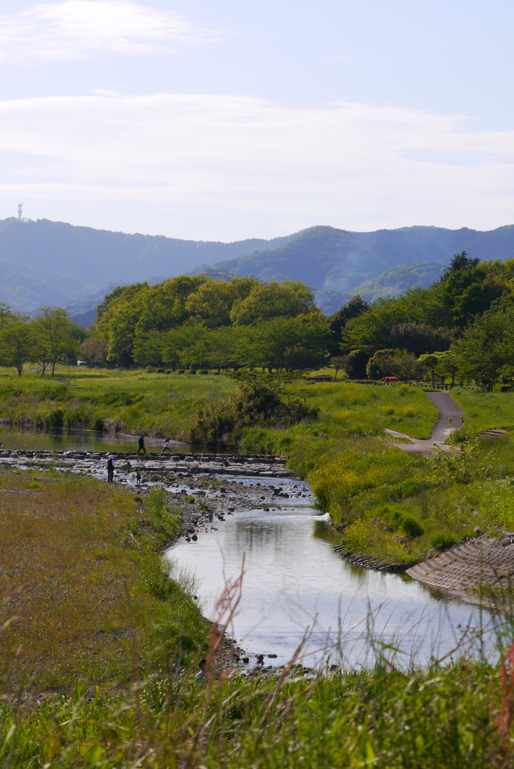 永野川遠望