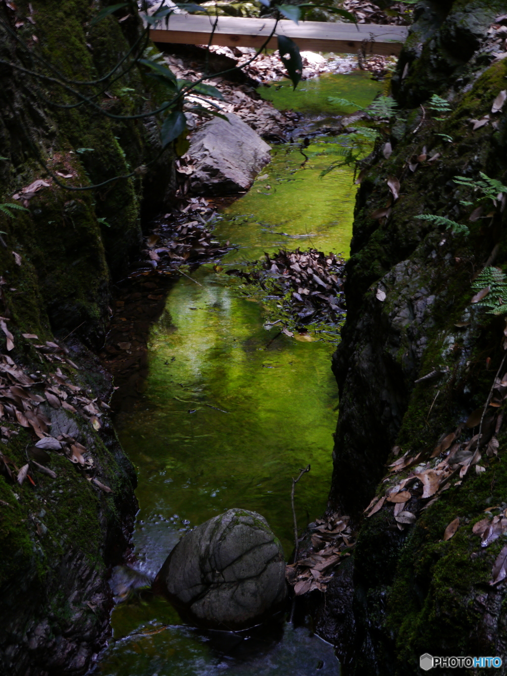 峡谷水映碧