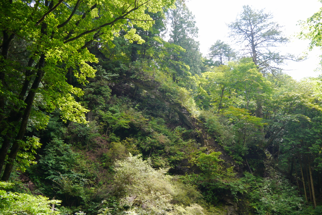 昇竜（鞍掛岩）
