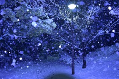 静かな夜の雪