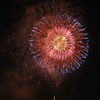 大輪の花