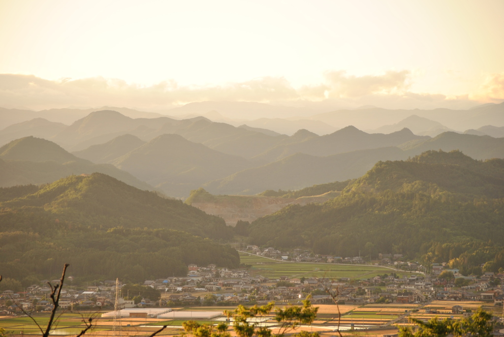 雄大