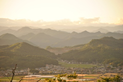 雄大