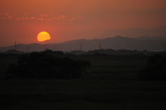 夕日