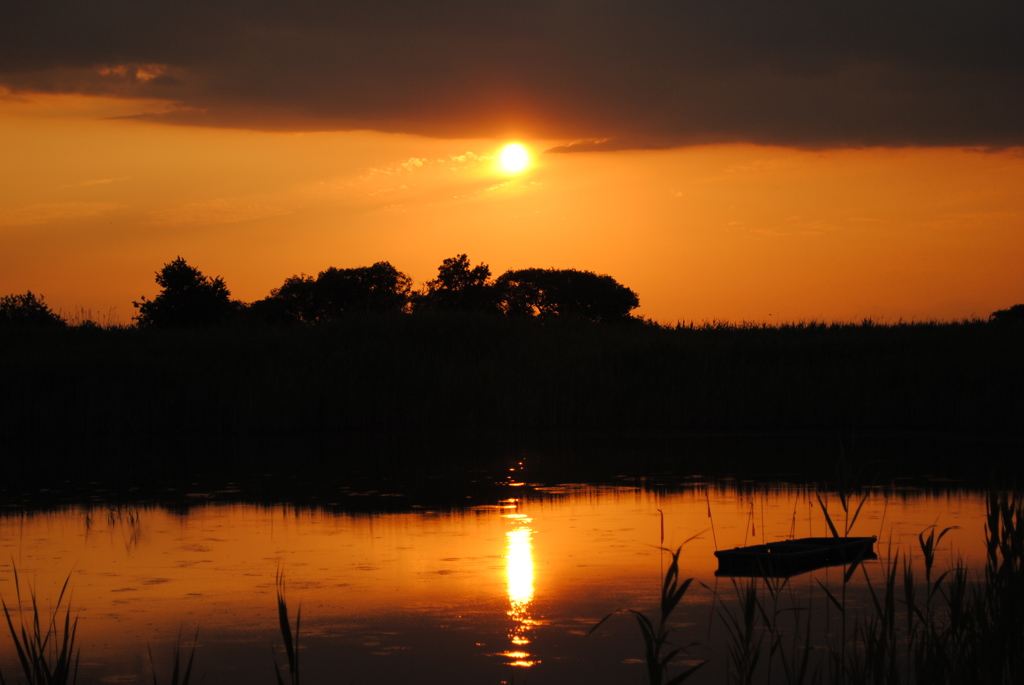 夕日