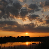 夕日