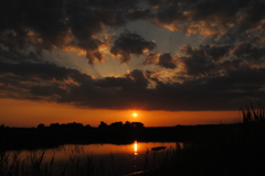 夕日